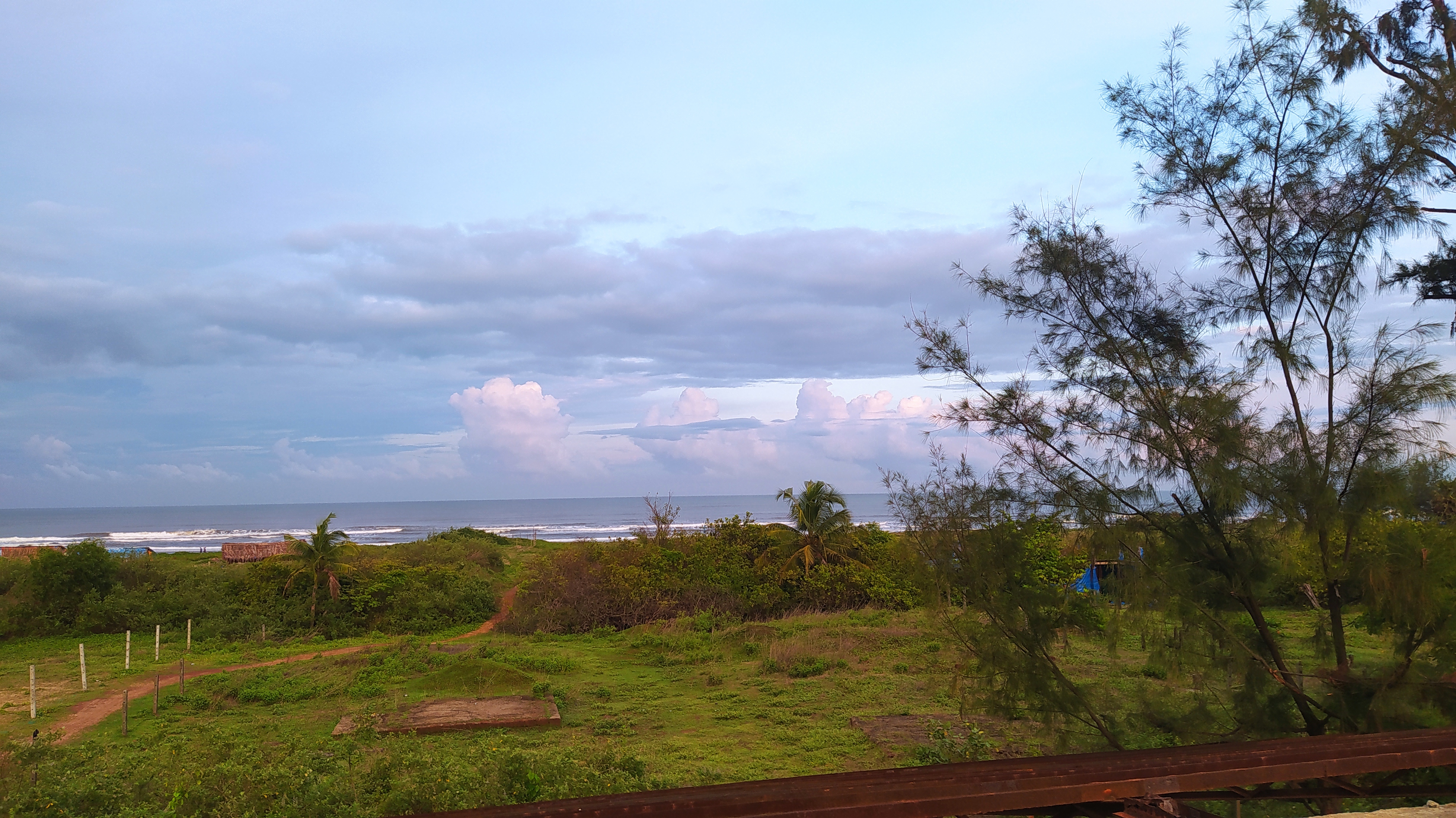 placeholder image 12