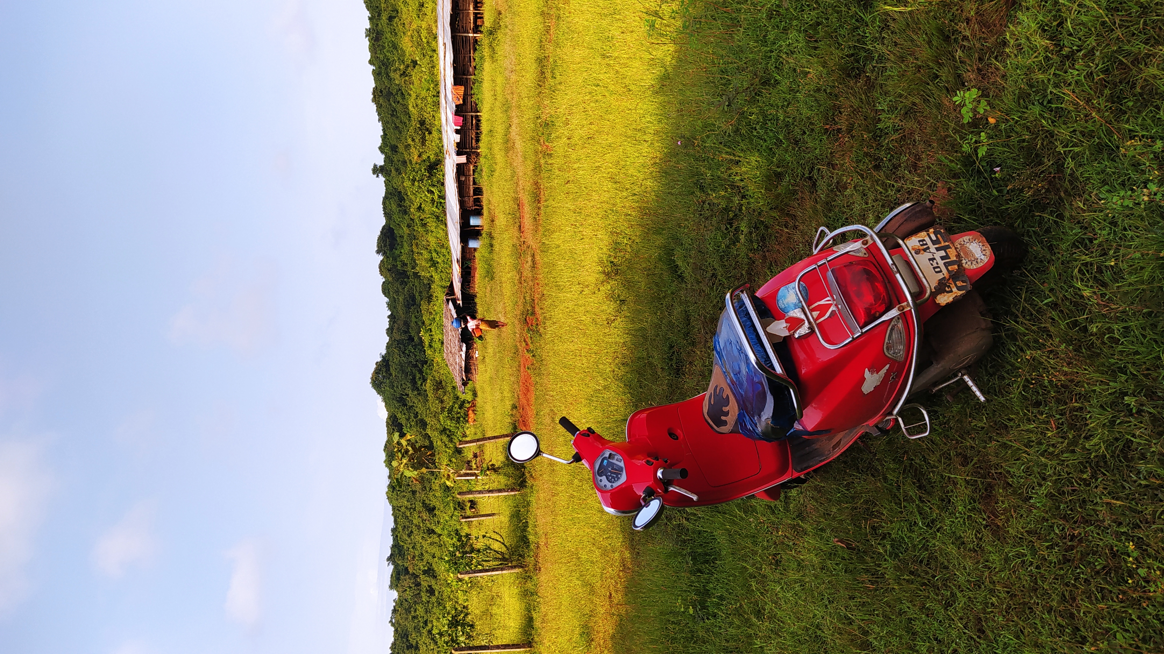 placeholder image 23