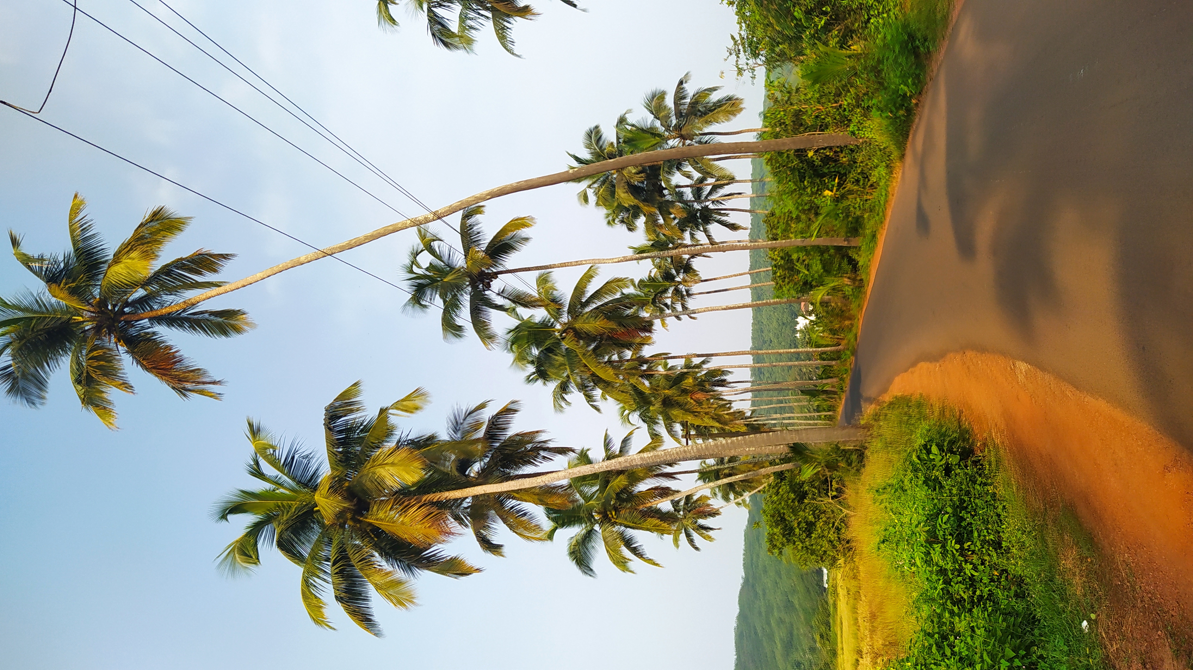 placeholder image 24